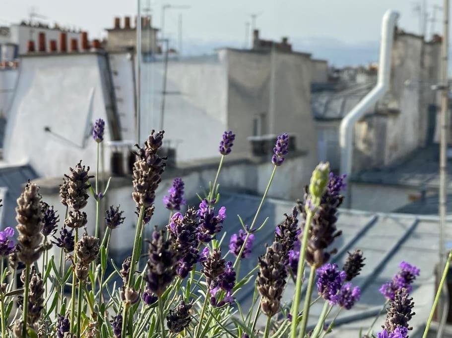 Penthouse With Terrasse And View On Eiffel Tower Appartement Paris